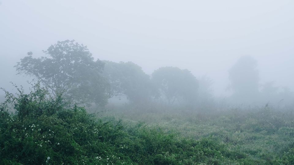  Chiang Dao Camping